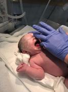 Newborn
